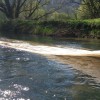 folija_na_krki_30_3_2014_1400pix_018.jpg