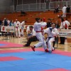 z_karate_022.jpg