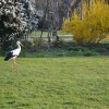 svet_evrope_74.jpg