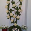 20140314_175558.jpg