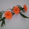 20140315_090231.jpg