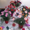 20140316_092854.jpg