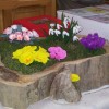 20140314_175503.jpg