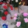 20140314_165448.jpg
