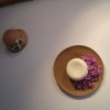 dsc01384_000.jpg