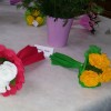 20140315_090242.jpg