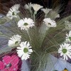 20140315_090416.jpg