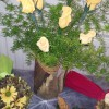 20140316_091627.jpg