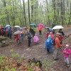 p4052686_000.jpg