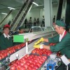 zidan_20100126_1.jpg