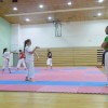 z_karate_012.jpg