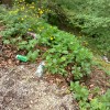 2014_04_10_1334.jpg