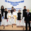 z_karate_001.jpg