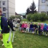 photo_5__2_.jpg