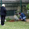 z_center_019.jpg