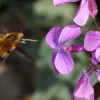 i_foto_003.jpg