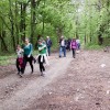 dpz_029.jpg