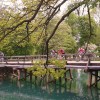 c_kolo_007.jpg
