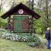 dpz_001.jpg