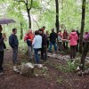 dpz_045.jpg