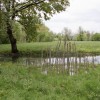 dpz_019.jpg