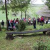 dpz_013.jpg