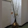metulj_015.jpg