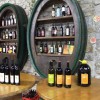 istra_007.jpg