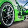 cameleon005.jpg