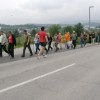 ob_zici_nm_07.jpg