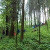 dolina_009.jpg