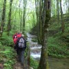 dolina_033.jpg