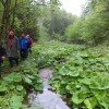 dolina_016.jpg