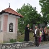 konj_003.jpg