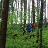 dolina_011.jpg