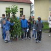pomlad_jurjevo_001.jpg