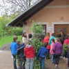 pomlad_jurjevo_004.jpg