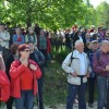 javorovica063.jpg