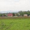 barakaromi_0001.jpg
