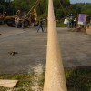 v_mlaj_008.jpg