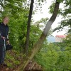 trapisti_010.jpg