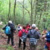 pohod_rumeni_slec_008_000.jpg