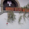 preseren_009.jpg