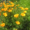 pohod_009.jpg