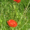 pohod_005.jpg