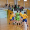 mrk_krka_003.jpg