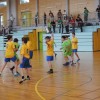 mrk_krka_007.jpg