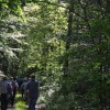 dsc_1400.jpg