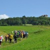 dsc_1445.jpg