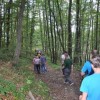 dsc_1557.jpg
